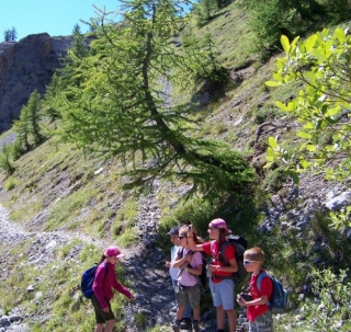  Trekking 